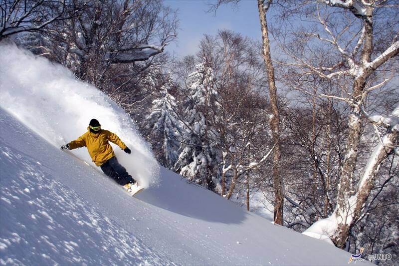 Furano Ski Area