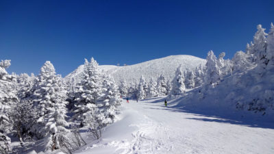 winter
